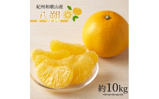 八朔(はっさく)約10kg 紀州和歌山 かつらぎ産[2026年2月上旬頃〜2026年2月下旬頃に順次発送]UT19][uot785]