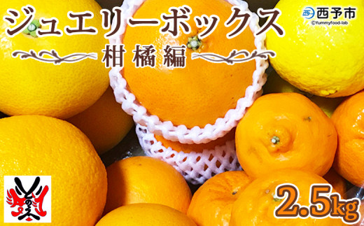 愛媛県明浜産　ジュエリーボックス（柑橘編）2.5kg【２月配送】