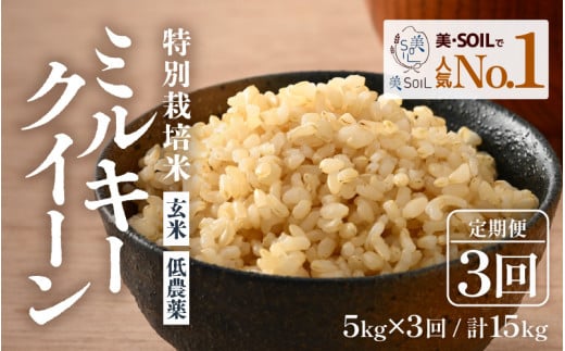 【先行予約】【令和7年産 新米】《定期便》5kg×3回 15kg 特別栽培米 ミルキークイーン 玄米 低農薬 《食味値85点以上！こだわり玄米》 / 福井県 あわら 北陸 米 お米 人気 ※2025年9月上旬より順次発送 [aw032-c003] 514093 - 福井県あわら市