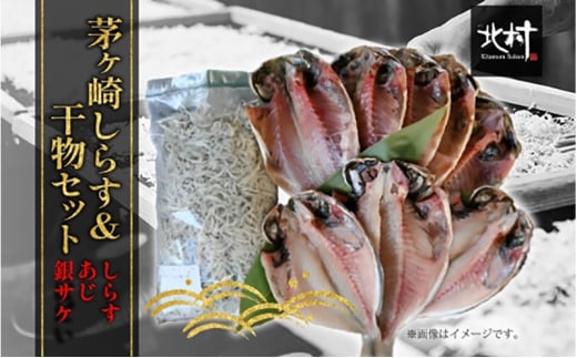 茅ヶ崎 しらす 干物 セット しらす  300g あじ 5枚 銀サケ 4枚 とれたて 網元 船 茹で上げ ゆでる 天日干し 白 透明 湘南 相模湾 朝獲れ  食卓 干物しらす丼 ポン酢 卵 海 漁 湯切り おつまみ お酒 冷凍 神奈川県 茅ケ崎市 709788 - 神奈川県茅ヶ崎市