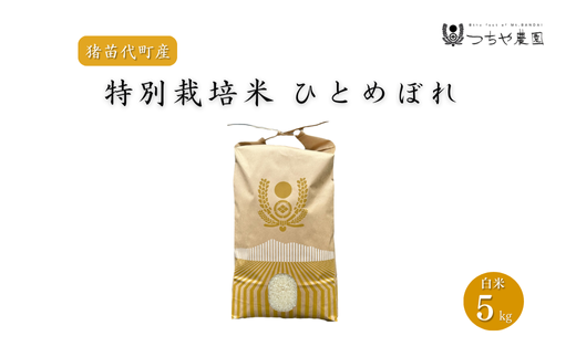 【令和6年産】猪苗代町産 特別栽培米ひとめぼれ 5kg（精米） [№5771-1273]