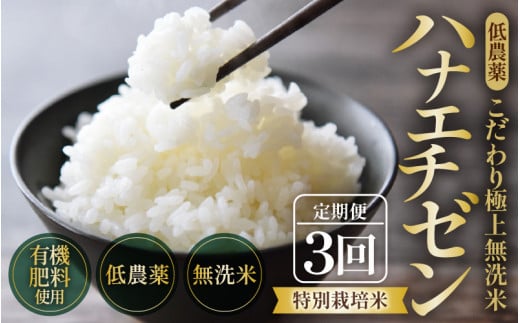 【令和6年産 新米】《定期便》5kg×3回 15kg 特別栽培米 ハナエチゼン 無洗米 低農薬 《こだわり極上無洗米》 / 福井県 あわら 北陸 米 お米 人気 [aw032-d001] 397284 - 福井県あわら市