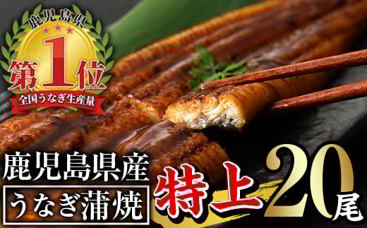 無投薬!鹿児島県産うなぎ蒲焼セット[特上](計3.2kg以上・ 160g以上×20尾) タレ・山椒付き 鰻 ウナギ 国産[西日本養鰻]E13-v01