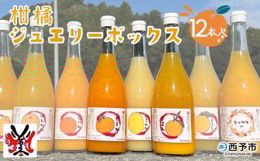 ＜西予市産柑橘ジュエリーボックス 720ml×12本入り（無添加果汁100％ジュース）＞ みかん 柑橘 果物 フルーツ ぽんかん しらぬい せとか 紅まどんな 特産品 渡江から一歩を踏み出す会 飲んで応援 愛媛県 西予市【常温】 232485 - 愛媛県西予市