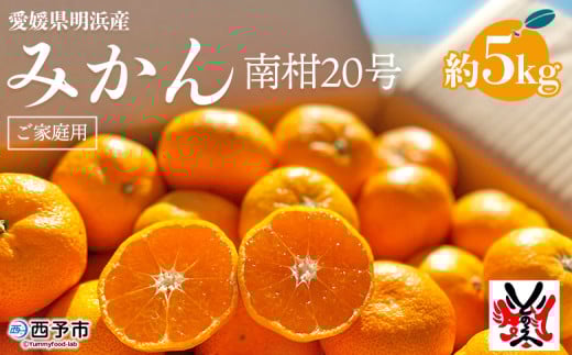愛媛県明浜産 みかん(5㎏) 347784 - 愛媛県西予市