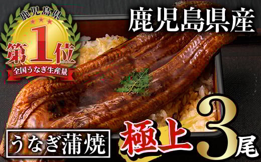 無投薬！鹿児島県産うなぎ蒲焼セット＜極上＞(計560g以上・ 185g以上×3尾) タレ・山椒付き 鰻 ウナギ 国産【西日本養鰻】A507-v01 1389632 - 鹿児島県曽於市