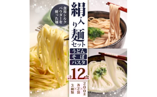 絹入り麺セット(うどん そば パスタ) 約12食計6袋(各200g×2袋) 人気乾麺セット【1589243】 2047171 - 京都府与謝野町