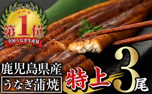 無投薬！鹿児島県産うなぎ蒲焼セット＜特上＞(計480g以上・ 160g以上×3尾) タレ・山椒付き 鰻 ウナギ 国産【西日本養鰻】A506-v01 1389575 - 鹿児島県曽於市