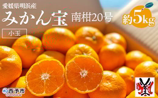 愛媛県明浜産　みかん（宝）５㎏