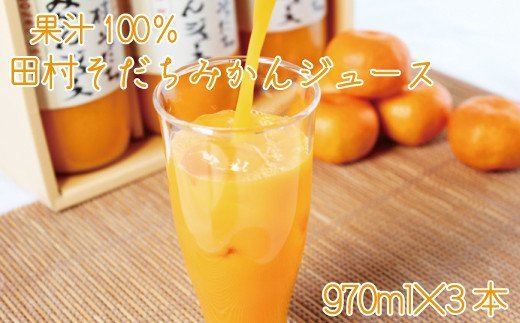果汁100%田村そだちみかんジュース 970ml×3本【uot203】 480532 - 和歌山県由良町