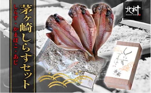 茅ヶ崎 しらす セット 生 新鮮 しらす 300g しらす かまぼこ 1本 あじ 3枚 とれたて 網元 船 茹で上げ ゆでる 天日干し 白 透明 湘南 相模湾 朝獲れ  食卓 干物しらす丼 ポン酢 卵 海 漁 湯切り おつまみ お酒 冷凍 神奈川県 茅ケ崎市 709787 - 神奈川県茅ヶ崎市