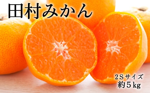 【ブランドみかん】田村みかん約5kg（2Sサイズ・秀品）★2025年11月下旬～2025年12月下旬頃発送【TM105】【tec881A】 480873 - 和歌山県由良町