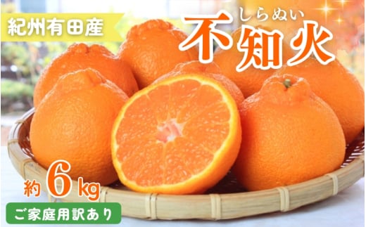 【ご家庭用訳あり】紀州有田産不知火(しらぬひ) 約6kg 2026年2月中旬頃から発送【先行予約】【UT130】【uot831A】 1595576 - 和歌山県由良町