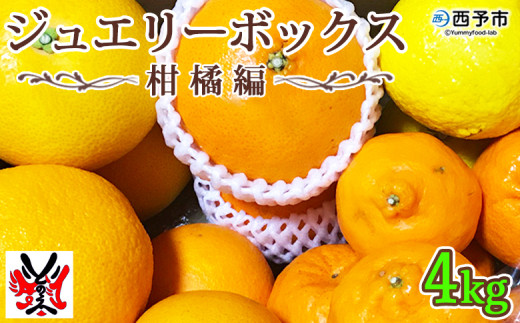 愛媛県明浜産 ジュエリーボックス(柑橘編)4kg【1月配送】 560994 - 愛媛県西予市