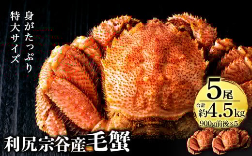 【2025年4月以降発送】北海道 利尻・宗谷産 毛ガニ 特大サイズ（900g前後） 5尾セット＜利尻漁業協同組合＞ 1397964 - 北海道利尻富士町