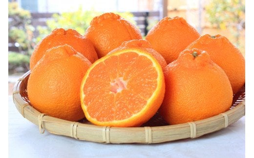 紀州有田産不知火(しらぬひ) 約５kg【2026年2月中旬以降発送】【先行予約】【UT40】【uot709A】