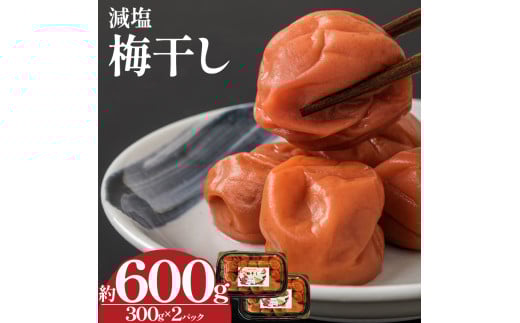 【 栃木県産 】梅干し 約300g×2 | 梅 梅干し 減塩 手摘み 天然 天日干し 手作り 塩漬け 栃木県 しもつけ市 下野市 486035 - 栃木県下野市