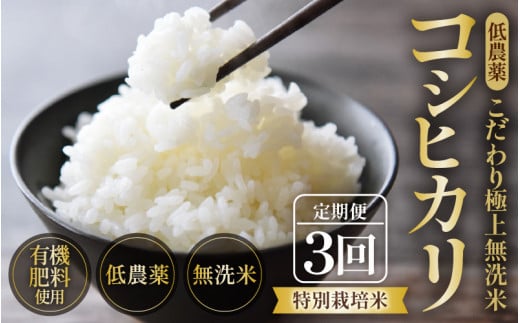 【先行予約】【令和7年産 新米】《定期便》5kg×3回 15kg 特別栽培米 コシヒカリ 無洗米 低農薬 《食味値85点以上！こだわり極上無洗米》 / 福井県 あわら 北陸 米 お米 人気 高品質 鮮度抜群 新米 ※2025年9月上旬より順次発送 [aw032-c001] 397283 - 福井県あわら市