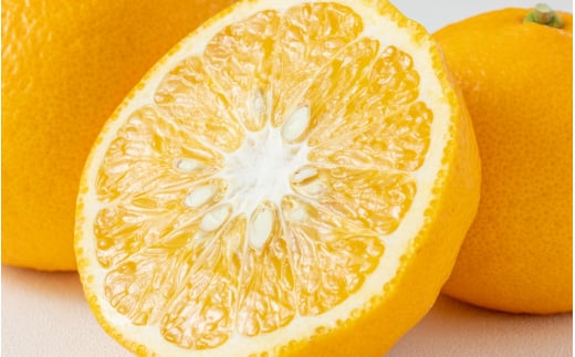 【減農薬栽培】ゆら甘夏10kg Lサイズ以上 【先行予約】※2026年4月上旬頃〜2026年4月下旬頃に順次発送予定 / あまなつ 柑橘 由良町 果物 フルーツ 産地直送 お取り寄せ 和歌山【ecen003】