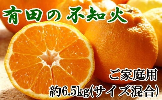 【濃厚】有田の不知火約6.5kgご家庭用向け（サイズ混合）★2026年2月中旬～2026年3月中旬頃より順次発送【TM70】【tec864A】 481022 - 和歌山県由良町