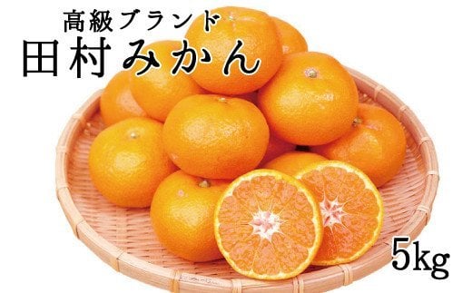 高級ブランド田村みかん　5kg【2025年11月下旬以降発送】【先行予約】【UT14】【uot504A】 480690 - 和歌山県由良町