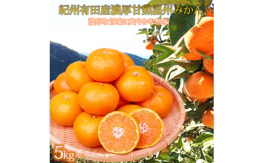 紀州有田産濃厚甘熟温州みかん5kg【2025年11月下旬以降発送】【先行予約】【UT09】【uot006】 480691 - 和歌山県由良町