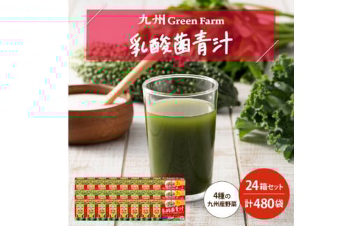 青汁 乳酸菌青汁 24個 セット 合計480袋 健康 飲料 ヘルシー