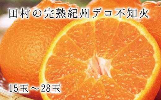 高級ブランド田村の完熟紀州デコ(不知火)【先行予約】※2026年2月下旬頃～3月中旬頃に順次発送予定(お届け日指定不可)【UT44】【uot731】 480830 - 和歌山県由良町