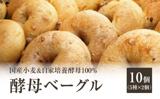 【母の日ギフト】≪5月11日お届け≫ 国産小麦＆自家培養酵母100％ 酵母ベーグル5種×2個 10個セット ベーグルセット プレーン ベーグルパン パンベーグル もちもちベーグル プレーンベーグル チョコベーグル チーズベーグル 胡桃ベーグル オレンジベーグル 酵母 朝食 おやつ【065-10-H】 1288053 - 京都府木津川市