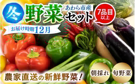 【先行予約】農家直送 冬野菜セット 1箱 7品目以上 《元気に育った新鮮野菜！》※2024年12月上旬以降発送 [aw028-a011] 636153 - 福井県あわら市