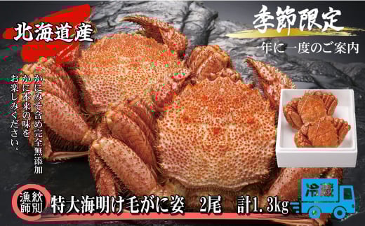 65-9 【北海道産】特大海明け毛がに姿 2尾計約1.3kg【期間限定5月19日まで受付予定】(冷蔵便)