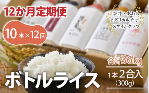 【令和6年産 新米】《定期便12回》ボトルライス 300g×10本 無洗米 ／ 防災 非常食 アウトドア BBQ キャンプ メスティン ペットボトル ミルキークイーン コシヒカリ あきさかり にこまる きぬむすめ みつひかり [aw037-q001] 401946 - 福井県あわら市