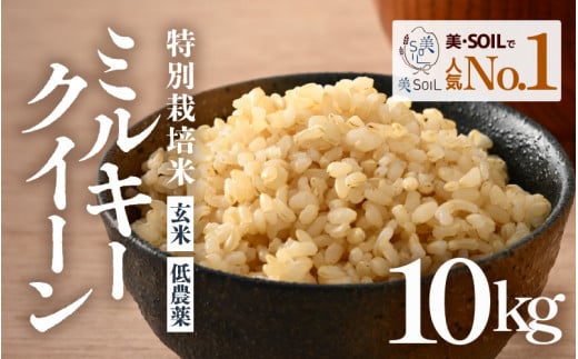 【先行予約】【令和7年産 新米】ミルキークイーン 玄米 10kg 特別栽培米 低農薬 《食味値85点以上！こだわり無洗米》 / 福井県 あわら市 北陸 米 お米 人気 ※2025年9月上旬より順次発送 [aw032-b006] 514036 - 福井県あわら市