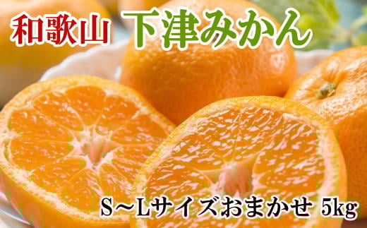 【産直・秀品】和歌山下津みかん約5kg（S～Lサイズおまかせ）★2025年11月中旬～2026年1月中旬頃より順次発送【TM133】【tec962A】 484838 - 和歌山県由良町
