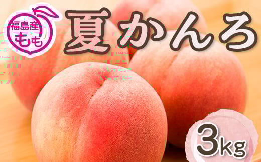 阿部農縁　福島の桃　夏かんろ3kg(10～12玉)　ギフト・贈答用　ふくしまの完熟もも F7X-0049 696549 - 福島県須賀川市