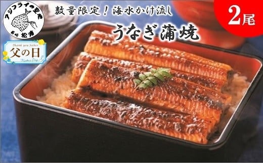 ＼父の日／数量限定！海水かけ流しうなぎ蒲焼2尾( 数量限定 うなぎ蒲焼 海水かけ流しうなぎ 逸品 ご飯が進む )【B6-024】