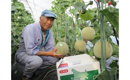 メロン 果物 フルーツ 果肉 赤肉系 旬 1.5kg ギフト 足寄町 北海道