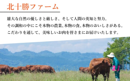 肉 ステーキ ロースステーキ 牛肉 赤身 和牛 ギフト 北海道産 北海道 