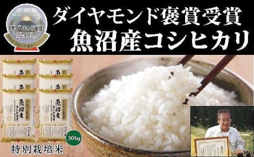 【令和7年産新米】最高級魚沼産 こしひかり 30kg（5kg×6袋）ダイヤモンド褒賞受賞 特別栽培米 新潟県 津南町 コシヒカリ コメ 米 お米