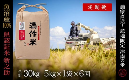 【2025年産新米】【6ヶ月定期便】県認証 魚沼産新之助 5kg(5kg×1袋) 