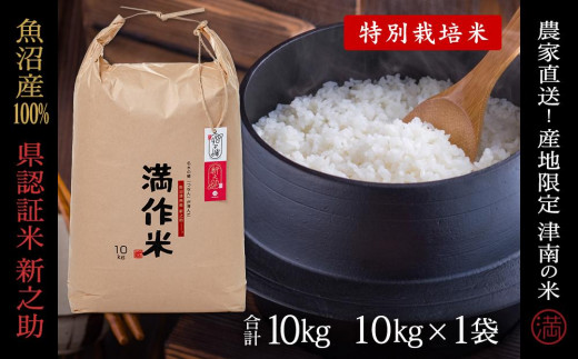 【2025年産新米】【県認証】魚沼津南産新之助 10kg(10kg×1袋)  産地限定！農家直送
