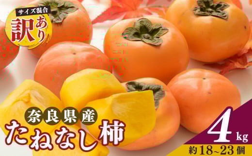 [令和7年発送 先行予約] 訳あり たねなし柿 約4kg ( 18〜23個 ) 2024年 大人気 | 種無し たねなし 柿 フルーツ 果物 くだもの カキ かき 農家直送 家庭用 フードロス 秋の味覚 旬 大小混合 奈良県 五條市 名産地