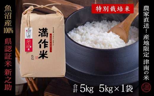 【2025年産新米】【県認証】魚沼津南産新之助 5kg(5kg×1袋) 産地限定！農家直送 713882 - 新潟県津南町