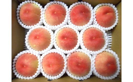 山形の旬の桃(品種おまかせ)3kg 0017-2505 313539 - 山形県上山市