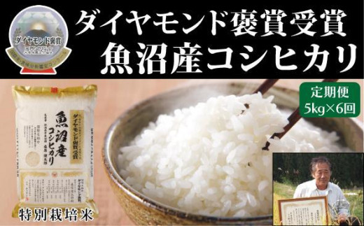 【令和7年産新米】【6ヶ月定期便】最高級 魚沼産 こしひかり 5kg（5kg×1袋）ダイヤモンド褒賞受賞 特別栽培米 新潟県 津南町 コシヒカリ コメ 米 お米