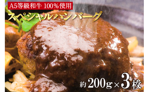 A5等級和牛100％　肉や大善スペシャルハンバーグ（2116） 352812 - 愛知県知立市