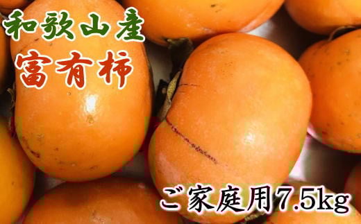 和歌山産富有柿ご家庭用約7.5kg★2025年11月上旬頃より順次発送【TM6】【tec407A】 481520 - 和歌山県由良町