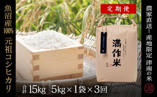 【2025年産新米】【3ヶ月定期便】元祖魚沼産コシヒカリ 5kg(5kg×1袋)