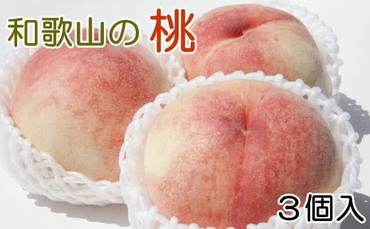 【産直・人気の特産品】和歌山の桃 3玉入り 約700g  ★2025年6月下旬から8月上旬頃順次発送★【TM93】【tec947A】 1237424 - 和歌山県由良町