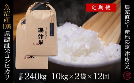 【2025年産新米】【12ヶ月定期便】特栽魚沼産コシヒカリ 20kg(10kg×2袋)